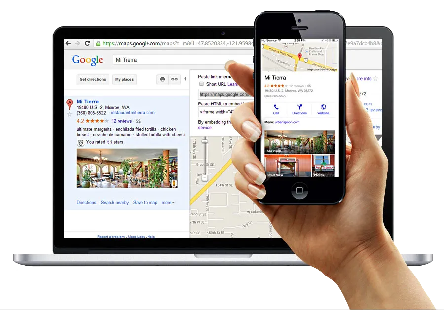 Google My Business Service By PMU Digital Agency